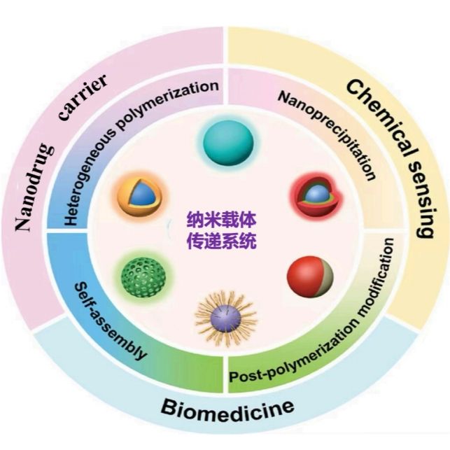 2，3-二甲基马来酸（DMA）修饰的pH响应型纳米载体负载PLK1 siRNA