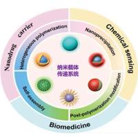 2，3-二甲基马来酸（DMA）修饰的pH响应型纳米载体负载PLK1 siRNA