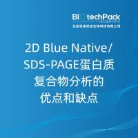 2D Blue Native/SDS-PAGE蛋白质复合物分析的优点和缺点-北京百泰派克生物科技有限公司