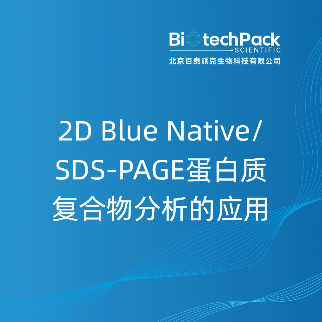 2D Blue Native/SDS-PAGE蛋白质复合物分析的应用