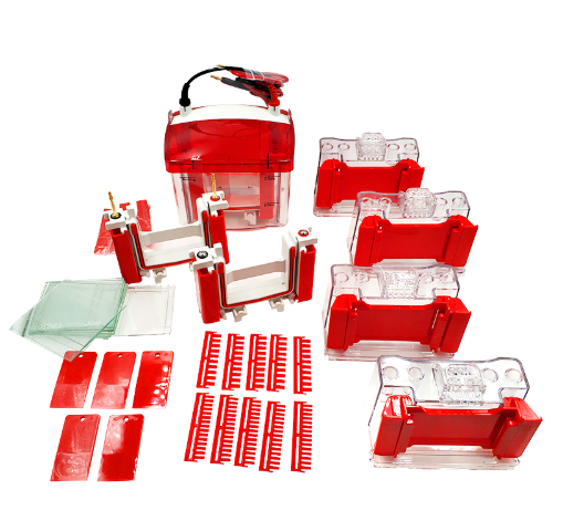 WIX韦克斯-miniPRO4 迷你垂直电泳槽