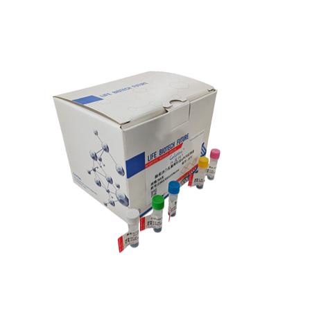 江西江蓝纯生物定量PCR试剂盒​新品活动强势来袭！