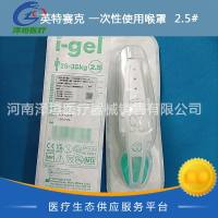 英特赛克 一次性使用喉罩 2.5# 8225000 儿童用 免充气囊