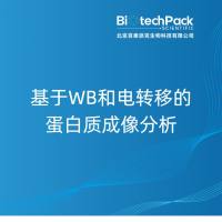 基于WB和电转移的蛋白质成像分析