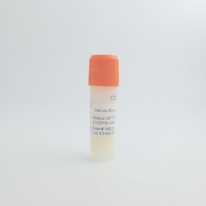 辰辉创聚生物®Nebulabio- 全系列原代细胞产品