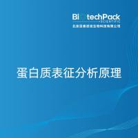 蛋白质表征分析原理