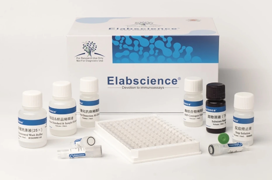Elabscience大鼠VEGF-A ELISA试剂盒