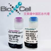 InVivoMAb 抗寨卡病毒 E 蛋白 DIII-LR-InVivoMAb anti-Zika virus E protein DIII-LR