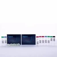 210516安捷伦多点定点突变试剂盒Agilent QC Lightning 10rxn
