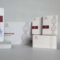 GFP探针法荧光定量RT-PCR试剂盒