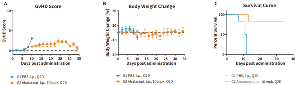 自免和炎症疾病药物开发，离不开这些小鼠