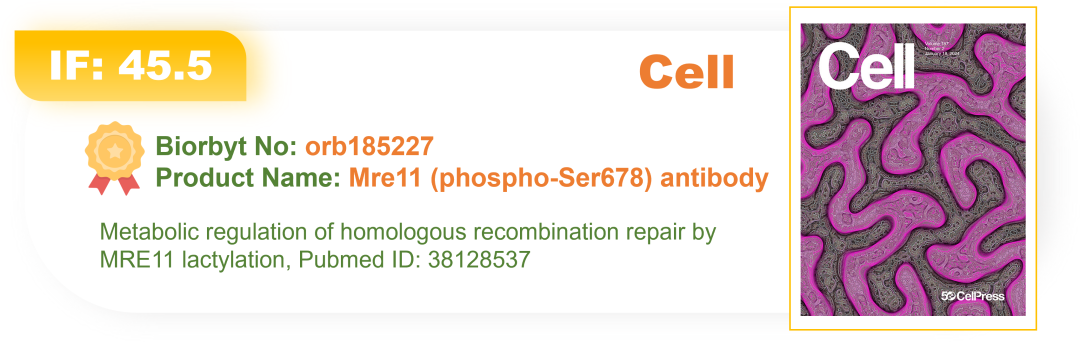 【Biorbyt文献产品】10月高分文献产品：包含多篇Cell、Immunity！