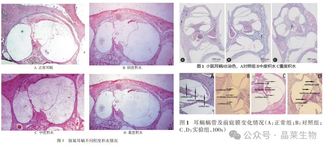 1732524972118226.png 640_wx_fmt=png&from=appmsg (6).png