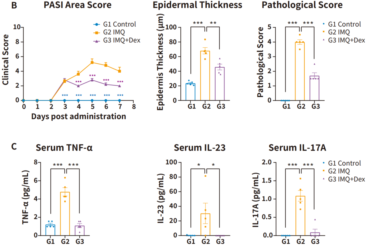 自免和炎症疾病药物开发，离不开这些小鼠