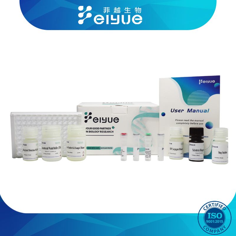 大鼠抵抗素(RETN)酶联免疫吸附测定试剂盒