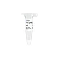 BL21(DE3)化学感受态细胞（C504）