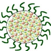 PEI-g-PEG-RGD聚合物纳米粒包载VEGFR siRNA