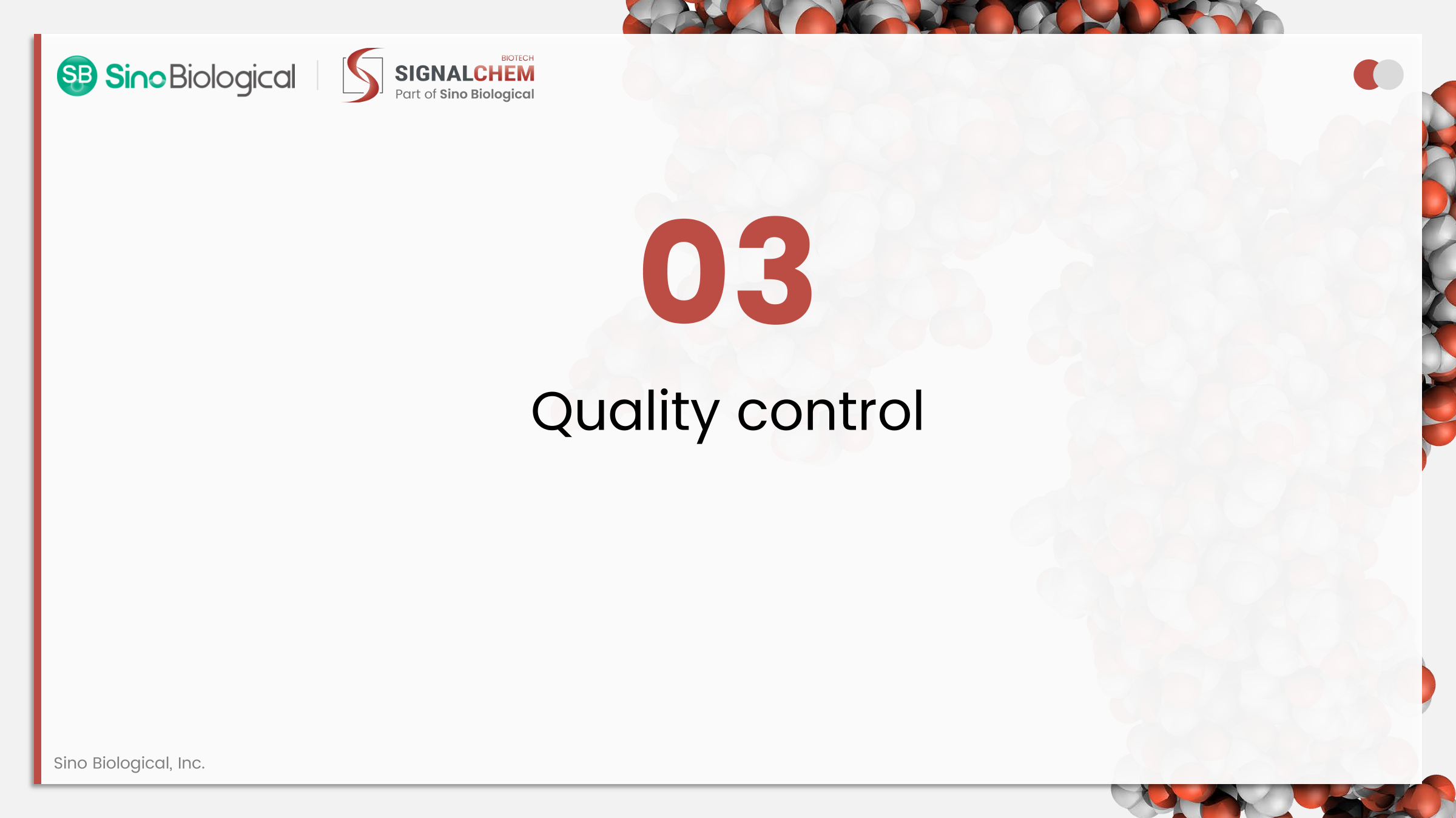 ppt