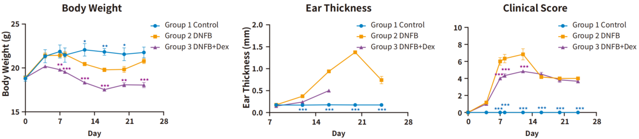 自免和炎症疾病药物开发，离不开这些小鼠