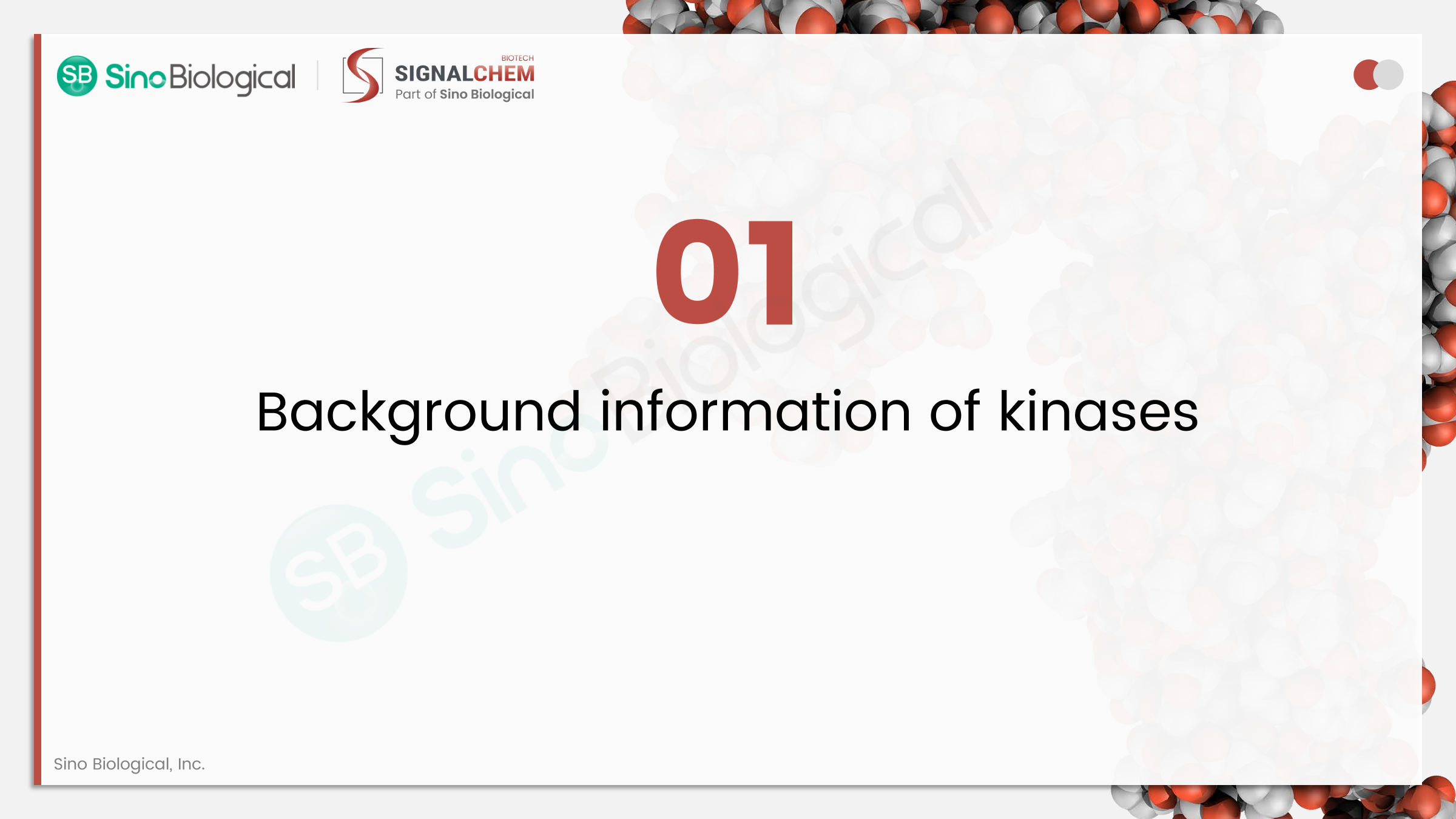 ppt