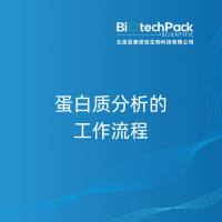 蛋白质分析的工作流程