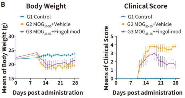 自免和炎症疾病药物开发，离不开这些小鼠
