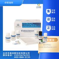 Elabscience大鼠VEGF-A ELISA试剂盒
