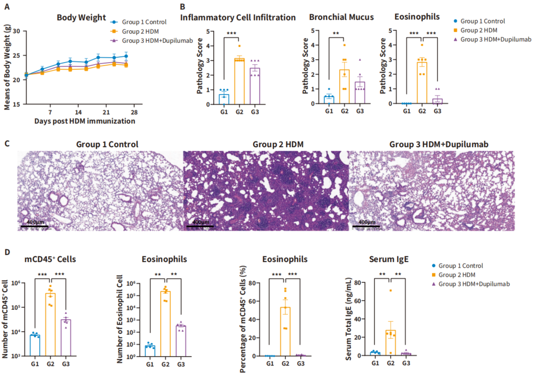 自免和炎症疾病药物开发，离不开这些小鼠