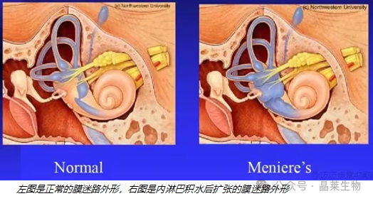 1732524928334384.png 640_wx_fmt=png&from=appmsg.png