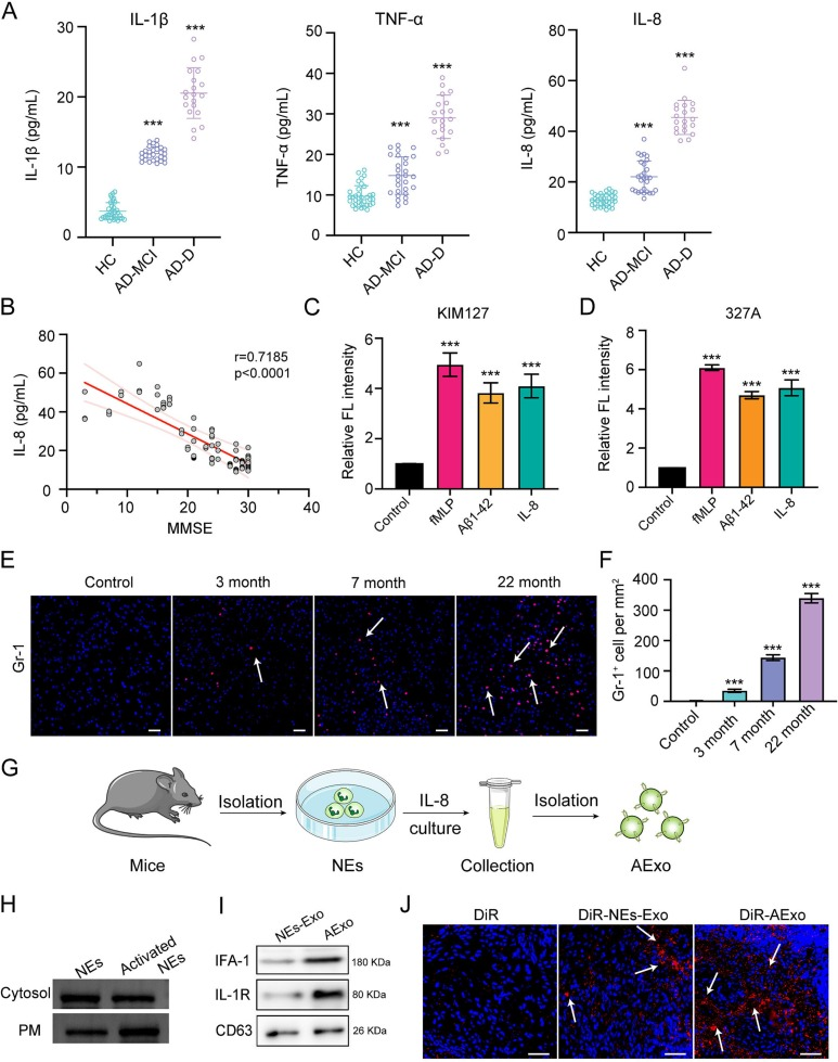 外泌体鉴定 外泌体鉴定