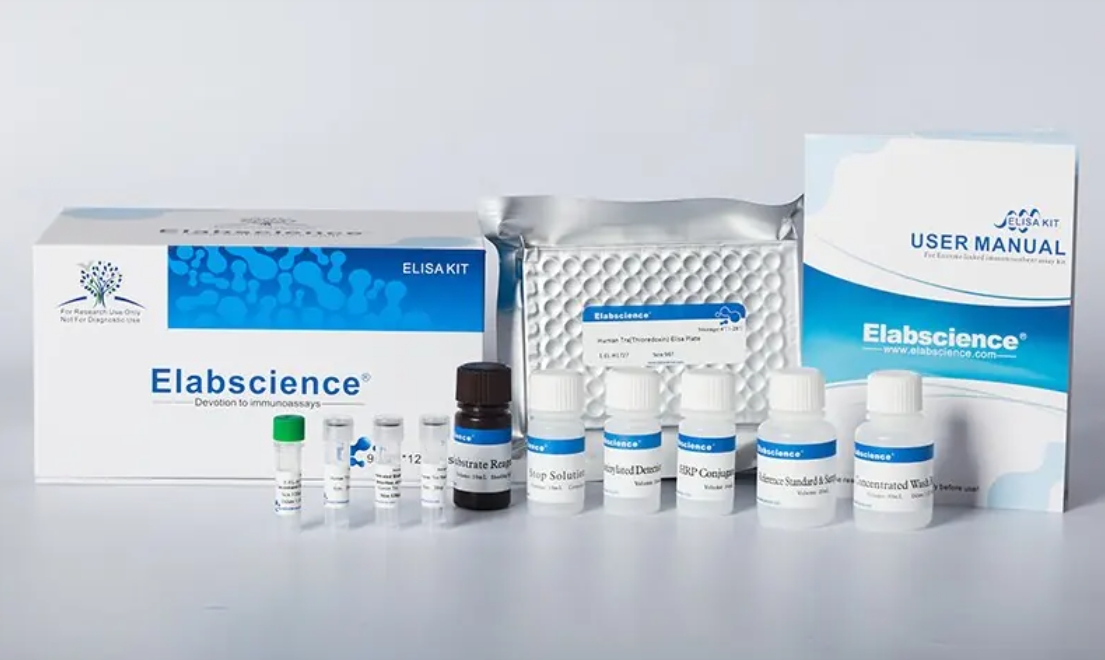 伊莱瑞特Elabscience亚铁离子比色法测试盒