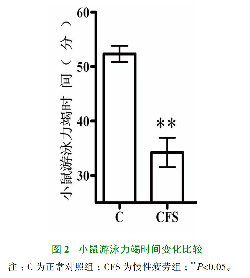 新闻图片2