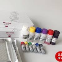 转基因元件tg7探针法荧光定量PCR试剂盒