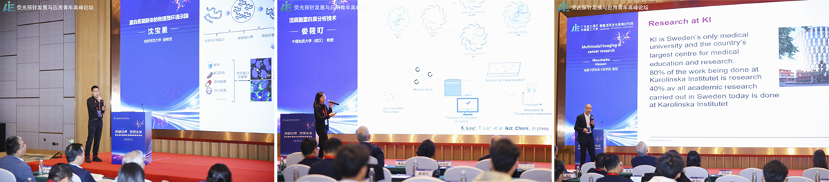 突破边界、“荧”得未来 ——荧光探针发展与应用青年高峰论坛成功举办