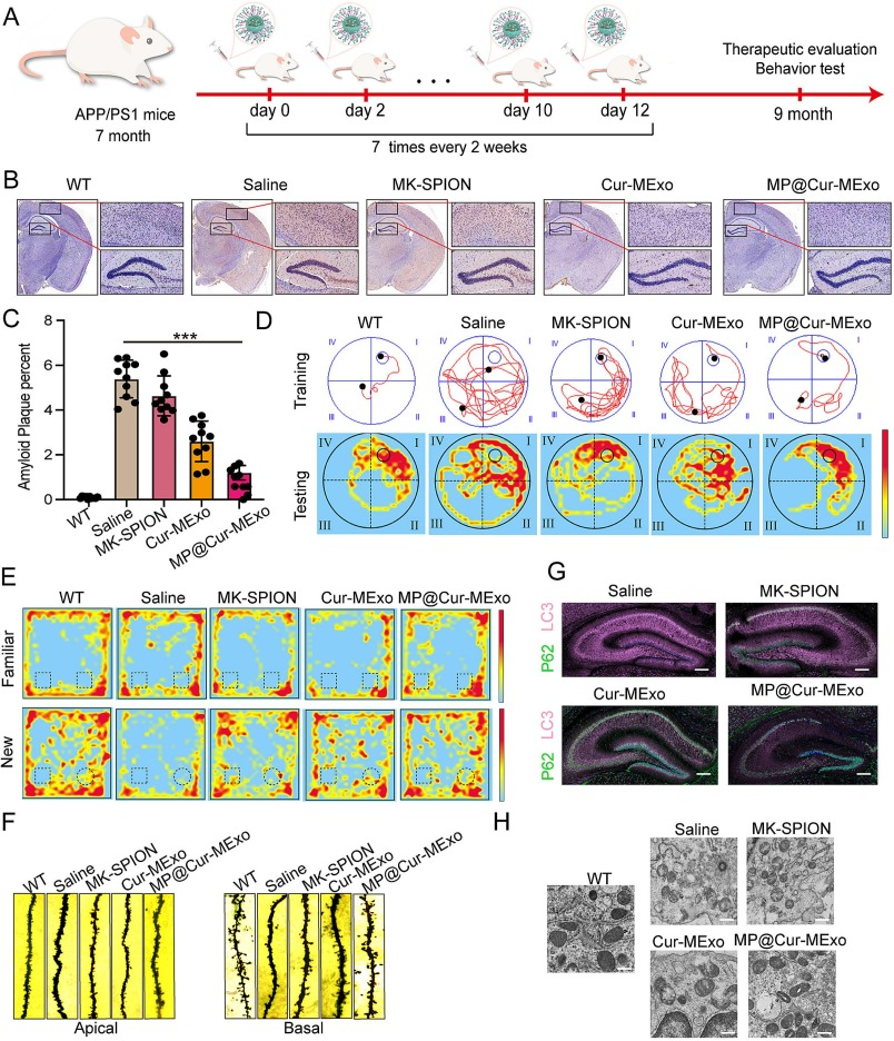 外泌体载药 外泌体载药