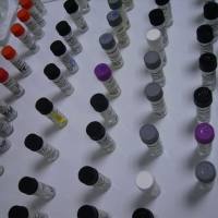 葡萄糖酸锌/(T-4)-双(D-葡萄糖酸-κO1,κO2)-锌/Zinc gluconate