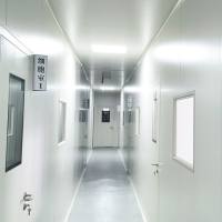 WB蛋白实验