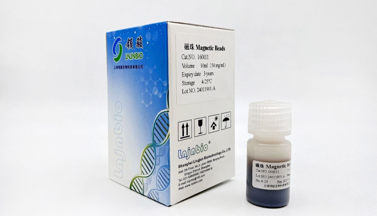 可直接扩增磁珠相比普通磁珠有哪些优势？