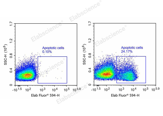 一步法TUNEL流式凋亡检测试剂盒（红色，Elab Fluo