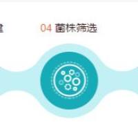 重组蛋白定制服务-表达-MCE