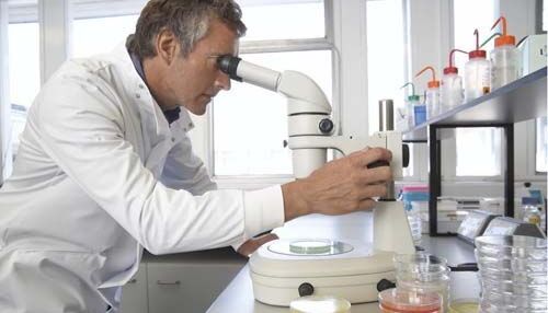 B细胞膜表面不同类型的受体的介绍