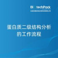 蛋白质二级结构分析的工作流程