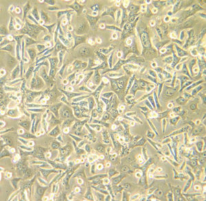 产品细节图片10