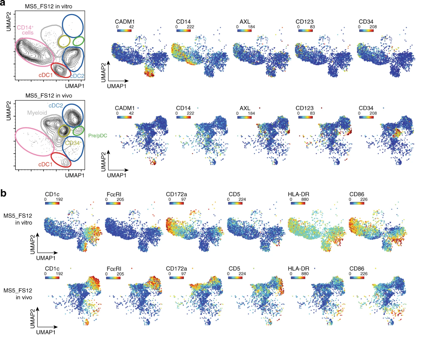 质谱流式技术新应用：类器官研究