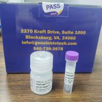 IntactProtein™ 全能型蛋白抽提试剂盒