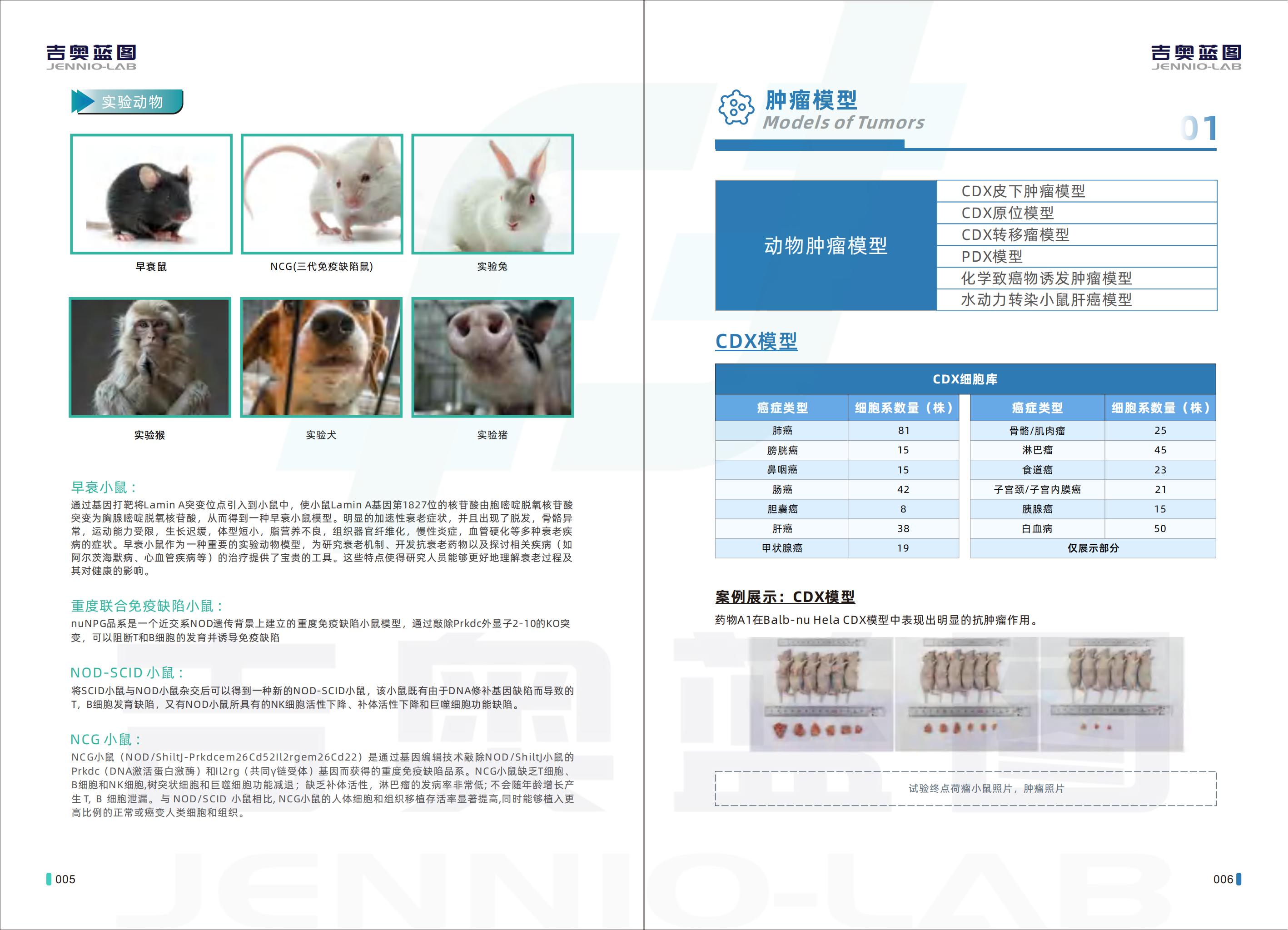 吉奥蓝图服务手册