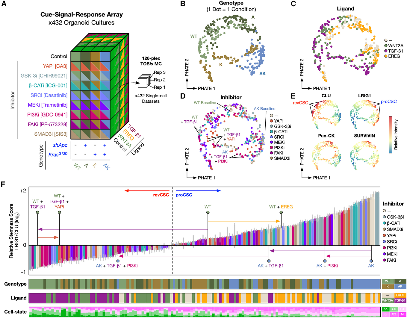 质谱流式技术新应用：类器官研究