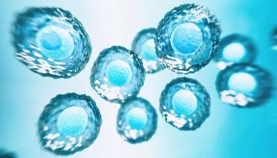 首批接受干细胞移植的视力受损患者恢复视力