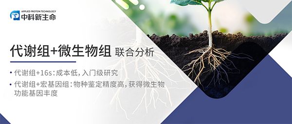 Cell Host & Microbe | 西北农林科技大学团队揭示硒纳米颗粒招募有益土壤微生物促进植物生长机制