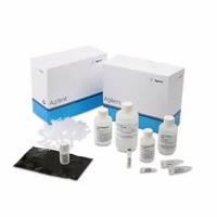 DNF-470-0275安捷伦小RNA试剂盒片段分析仪系统用于定性和定量分析Agilent